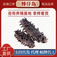 大连特产淡干海参大连精品海参水产干货辽参刺参小海参批发500g