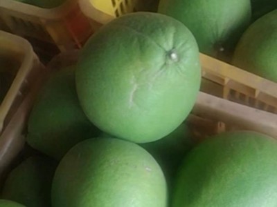 红宝石青柚 红肉蜜柚三红柚子 现摘新鲜 皮薄多汁图5
