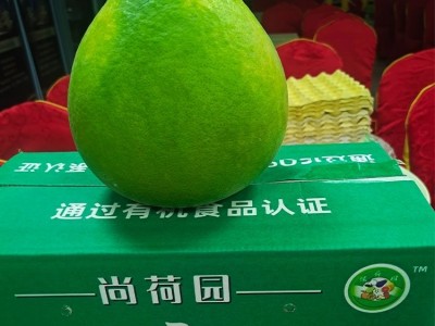 红宝石青柚 红肉蜜柚三红柚子 现摘新鲜 皮薄多汁图2