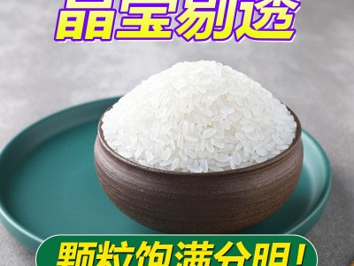 包邮现货当季东北大米新米10斤包邮群艳寒地长粒香厂家5kg批发图3