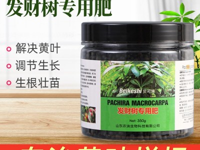 发财树用肥料 家庭有机花肥 山东厂家批发 可用于黄叶烂根复合肥图2