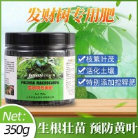 发财树用肥料 家庭有机花肥 山东厂家批发 可用于黄叶烂根复合肥