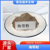 海带粉 厂家供应 饲料添加 脱水海带粉