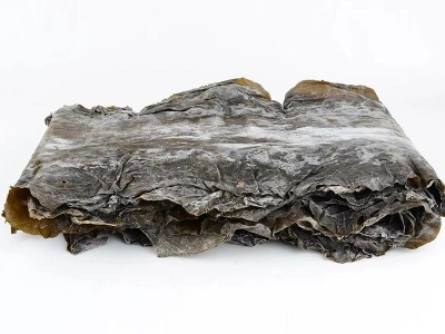 海带粉 厂家供应 饲料添加 脱水海带粉图5