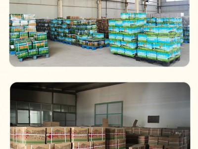 【干净散货】枸杞子批发 宁夏枸杞 工厂直销 散装批发图4