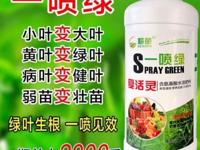 1000g黄叶死苗一喷绿保花果叶面肥果蔬氨基酸叶面肥腐植酸营养液图2