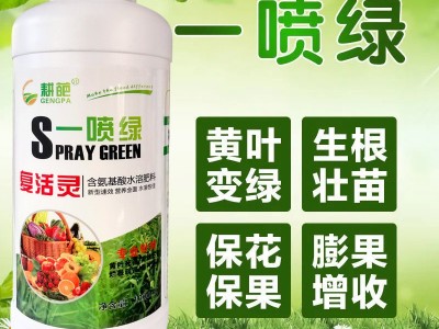 500g黄叶死苗一喷绿保花保果叶面肥果蔬氨基酸叶面肥腐植酸营养液图5