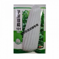 北京华耐甜糯101玉米杂交种 白糯玉米种子鲜食又甜又糯 抗病