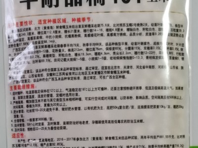 北京华耐甜糯101玉米杂交种 白糯玉米种子鲜食又甜又糯 抗病图3