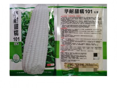 北京华耐甜糯101玉米杂交种 白糯玉米种子鲜食又甜又糯 抗病图4