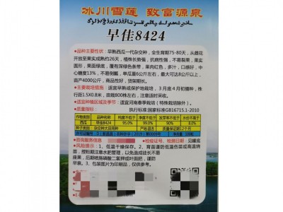 早佳8424西瓜种子 圆形麒麟西瓜地雷王春季早熟抗病 高甜水果种子图2