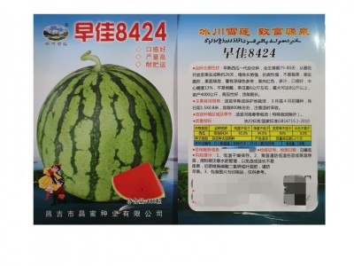 早佳8424西瓜种子 圆形麒麟西瓜地雷王春季早熟抗病 高甜水果种子图4