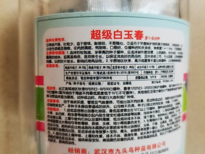 超级白玉春萝卜种子 耐低温耐抽苔 肉子脆甜不易空心单个重1.4kg图4