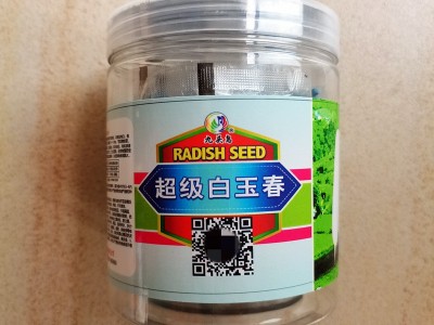 超级白玉春萝卜种子 耐低温耐抽苔 肉子脆甜不易空心单个重1.4kg图2