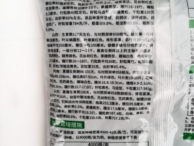 大田种植丰乐饲料玉米种子陕科6号 耐高温抗病抗倒大棒适应广图3