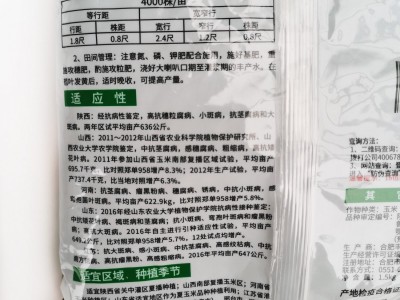 大田种植丰乐饲料玉米种子陕科6号 耐高温抗病抗倒大棒适应广图4