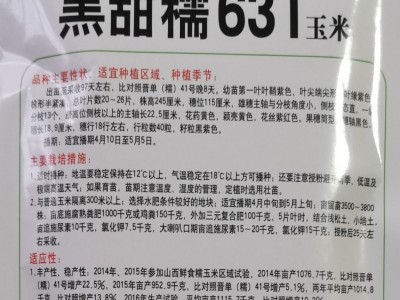 黑玉米种子631粘甜糯四季春季播黑糯6号优质水果玉米种籽种孑图3