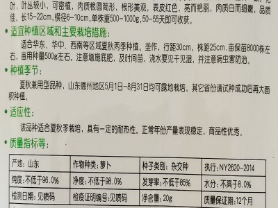 德高炎红萝卜种子 杂交萝卜种子 满身红 耐高温耐湿 55天可采收图4