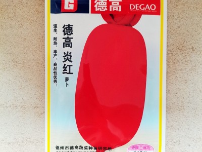 德高炎红萝卜种子 杂交萝卜种子 满身红 耐高温耐湿 55天可采收图2