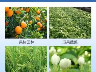 苯甲咪鲜胺35%含量 苯醚甲环唑+咪鲜胺靶斑病斑点病除菌剂图3