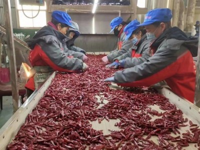 现货批发新疆辣椒干朝天椒线椒二荆条干辣椒北京红益都辣椒商用图4