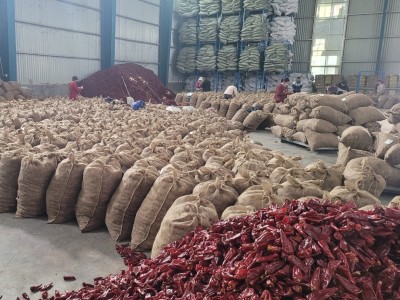 现货红不辣益都红辣椒北京红新疆板椒干辣椒红油专用大量批发图4