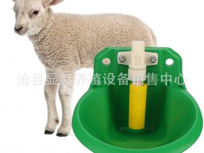 羊用饮水碗 羊用自动饮水器 羊自动喝水碗 养殖羊水碗 羊水碗图4