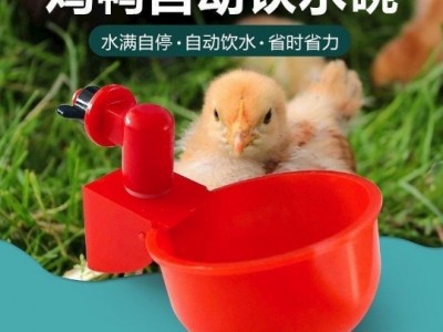 家禽自动饮水碗 自动鸡饮水机鸡饮水杯鸡饮水器图1