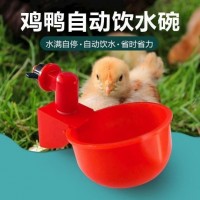 家禽自动饮水碗 自动鸡饮水机鸡饮水杯鸡饮水器