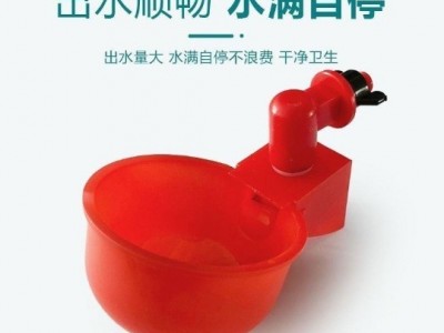 家禽自动饮水碗 自动鸡饮水机鸡饮水杯鸡饮水器图2