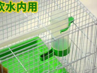 鸟用下料器/鹦鹉鸟自动喂食器/食槽/加食器/宠物用/养鸟用品用具图3