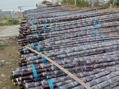 展宏 黑皮甘蔗大量供应 脆甜多汁当季水果 清甜果蔗现砍现发图2