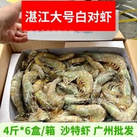 湛江水产大虾 新鲜冷冻大号白对虾 沙特虾海鲜水产对虾整箱24斤