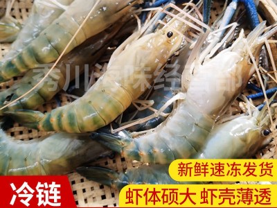 鲜活罗氏沼虾 淡水大虾 河虾 对虾 大头虾海鲜生鲜冷冻大虾基围虾图3
