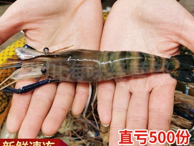 鲜活罗氏沼虾 淡水大虾 河虾 对虾 大头虾海鲜生鲜冷冻大虾基围虾图2