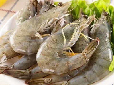 顺丰包邮大虾鲜活超大青岛大青虾冷冻鲜对虾速冻海虾虾类海鲜水产图5