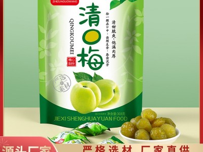 清口梅凉果袋装零食蜜饯308g酸甜梅酸脆爽口梅子话梅果脯青口梅图2
