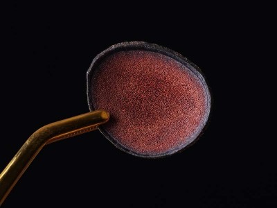 鹿茸片 吉林双阳鹿乡鹿茸片 散装批发红粉片鹿茸片整支鹿茸连刀片图4