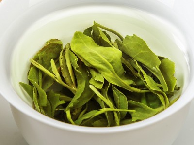 象窝绿茶 花香绿茶150克 /袋图3