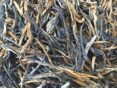 云南凤庆滇红古树红茶 古树松针红茶 原产地散装批发图3