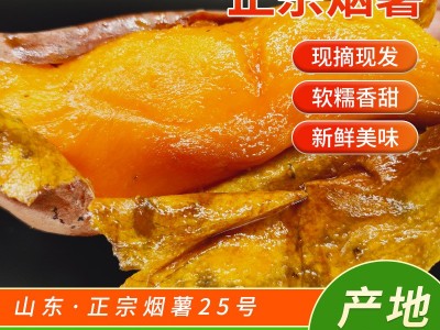 微商电商3两~6两山东烟蜜薯25号烟台农科院流油红薯农家番薯沙地图5