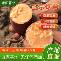 微商电商3两~6两山东烟蜜薯25号烟台农科院流油红薯农家番薯沙地