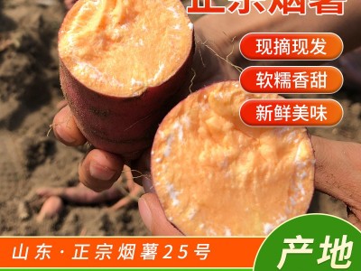 《烤薯规格》烟薯25号蜜薯糖心红薯新鲜番薯农家自种沙地唐山地瓜图2