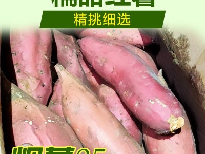 基地直发，唐山烟薯3两到6两，红薯蜜薯图5