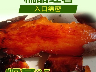 自产自销唐山烟薯25 流油蜜薯软糯香甜红皮红心烟署地瓜 烤薯图3