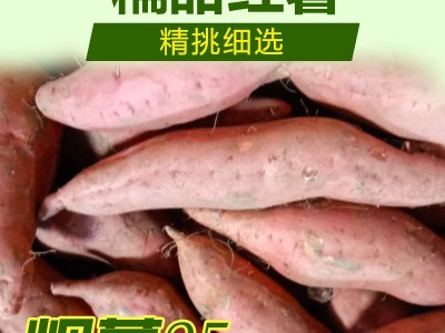 自产自销唐山烟薯25 流油蜜薯软糯香甜红皮红心烟署地瓜 烤薯图5