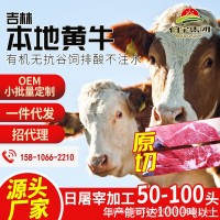 【伯宇集团】长春本地活牛牛场屠宰厂肉牛代宰 招代理一件代发