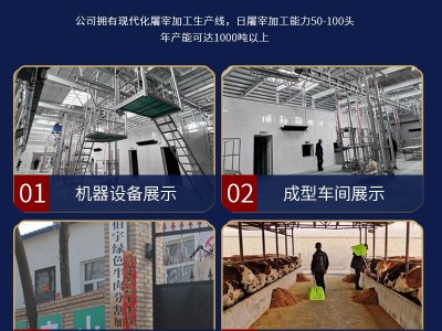 【伯宇集团】长春本地活牛牛场屠宰厂肉牛代宰 招代理一件代发图2