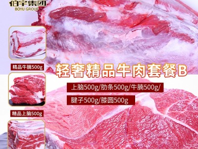 【伯宇集团】西门塔尔牛肉上脑肋条牛腩牛腱子牛霖组合套餐 谷饲图3