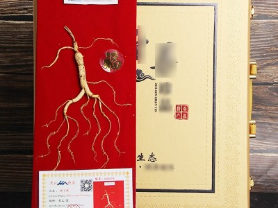 东北特产五宝礼盒厂家批发人参礼盒灵芝片西洋参片鹿茸片送礼佳品图3